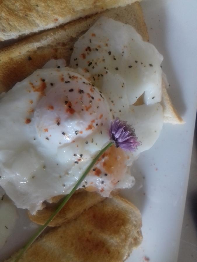 Westhouse Cafe N39 E0A6 Bed & Breakfast Longford Bagian luar foto